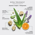 Royal Treatment Color Gloss Blonde Enhancing Purple Conditioner - 32 Ounces, , large image number null