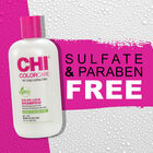 ColorCare Color Lock Shampoo, , large image number null