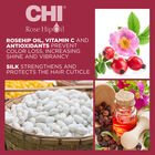 Rose Hip Oil Protecting Conditioner, , large image number null