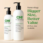 Scalp-ology Purifying Shampoo, , large image number null