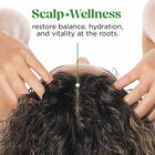 Scalp-ology Purifying Shampoo, , large image number null