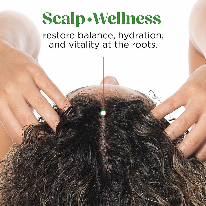 Scalp-ology Purifying Shampoo, , large image number null