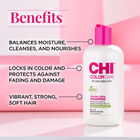 ColorCare Color Lock Shampoo, , large image number null