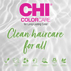 ColorCare Color Lock Shampoo, , large image number null