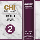 Brilliance Flexible Hold Hair Spray - 10 Ounces, , large image number null